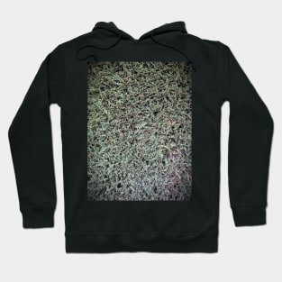 Hedge trimmed Hoodie